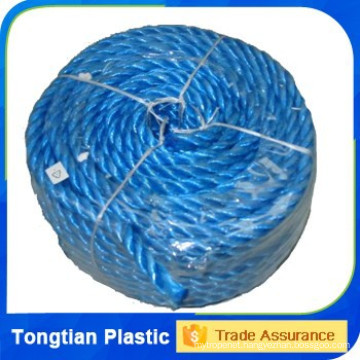 24mm PP plastic rope for India / Philippine / Indonesia